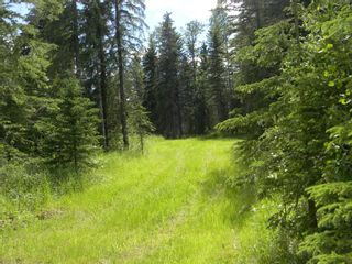 Photo 2: 131 Meadow Ponds Drive: Rural Clearwater County Land for sale : MLS®# A1021056