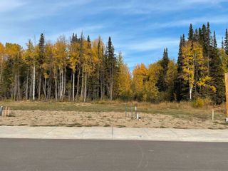 Photo 4: 7112 HILLU Road in Prince George: North Kelly Land for sale in "Legacy Park" (PG City North)  : MLS®# R2727864