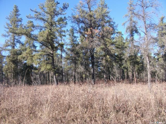 FEATURED LISTING: Red Deer River Lots Hudson Bay