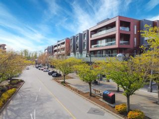 Photo 17: 315 20728 WILLOUGHBY TOWN CENTRE Drive in Langley: Willoughby Heights Condo for sale in "Kensington" : MLS®# R2870074