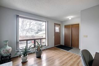 Photo 19: 33 Templeton Bay NE in Calgary: Temple Detached for sale : MLS®# A1199751