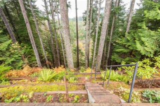 Photo 17: 40180 KINTYRE Drive in Squamish: Garibaldi Highlands House for sale : MLS®# R2120282