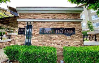 Photo 2: 424 8915 202 Street in Langley: Walnut Grove Condo for sale in "Hawthorne" : MLS®# R2584380