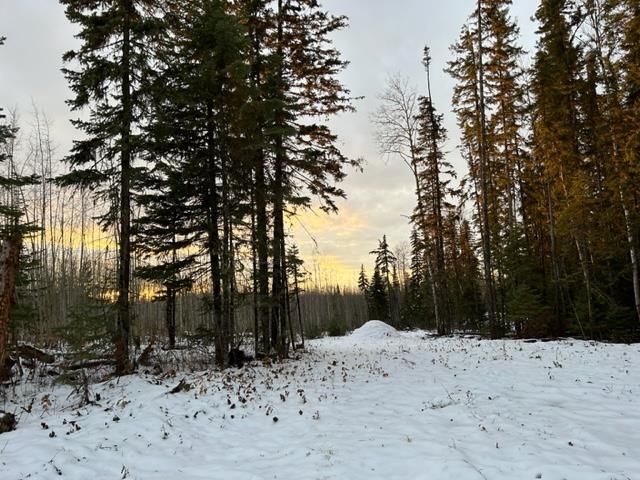 Main Photo: S TABOR LAKE ROAD in Prince George: Tabor Lake Land for sale in "Tabor Lake" (PG Rural East)  : MLS®# R2738807