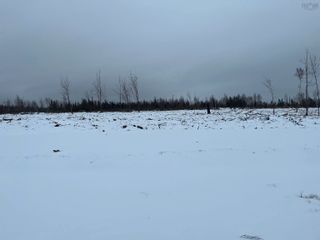Photo 3: 2.5 acres Shore Road in Waterside: 108-Rural Pictou County Vacant Land for sale (Northern Region)  : MLS®# 202302130