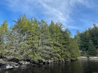 Photo 1: DL 1092 Clayoquot Island in Ucluelet: PA Ucluelet Land for sale (Port Alberni)  : MLS®# 861692