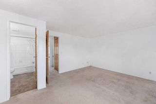 Photo 14: 96 Sandarac Way NW in Calgary: Sandstone Valley Semi Detached (Half Duplex) for sale : MLS®# A2080501