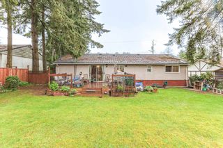 Photo 25: 14574 110A Avenue in Surrey: Bolivar Heights House for sale (North Surrey)  : MLS®# R2872220