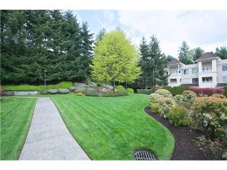 Photo 20: 202 523 WHITING Way in Coquitlam: Coquitlam West Condo for sale in "BROOKSIDE MANOR" : MLS®# V1059447