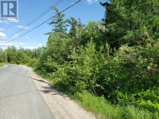 Photo 14: 35 Angle Brook Road in Glovertown: Vacant Land for sale : MLS®# 1261649