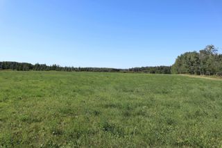 Photo 4: Hwy 622 RR 15: Rural Leduc County Rural Land/Vacant Lot for sale : MLS®# E4261453