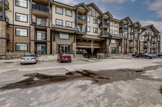 Main Photo: 407 117 Copperpond Common SE in Calgary: Copperfield Apartment for sale : MLS®# A2131080