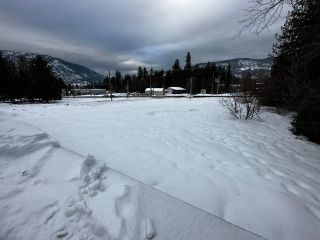 Photo 7: 1680 COLUMBIA AVENUE in South Castlegar: Vacant Land for sale : MLS®# 2468883
