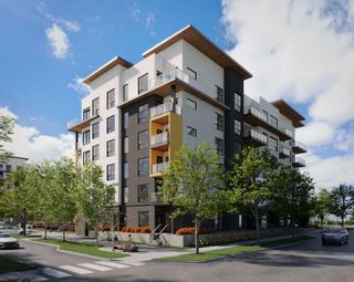 Photo 16: 219 330 Dieppe Drive SW in Calgary: Currie Barracks Apartment for sale : MLS®# A2126607