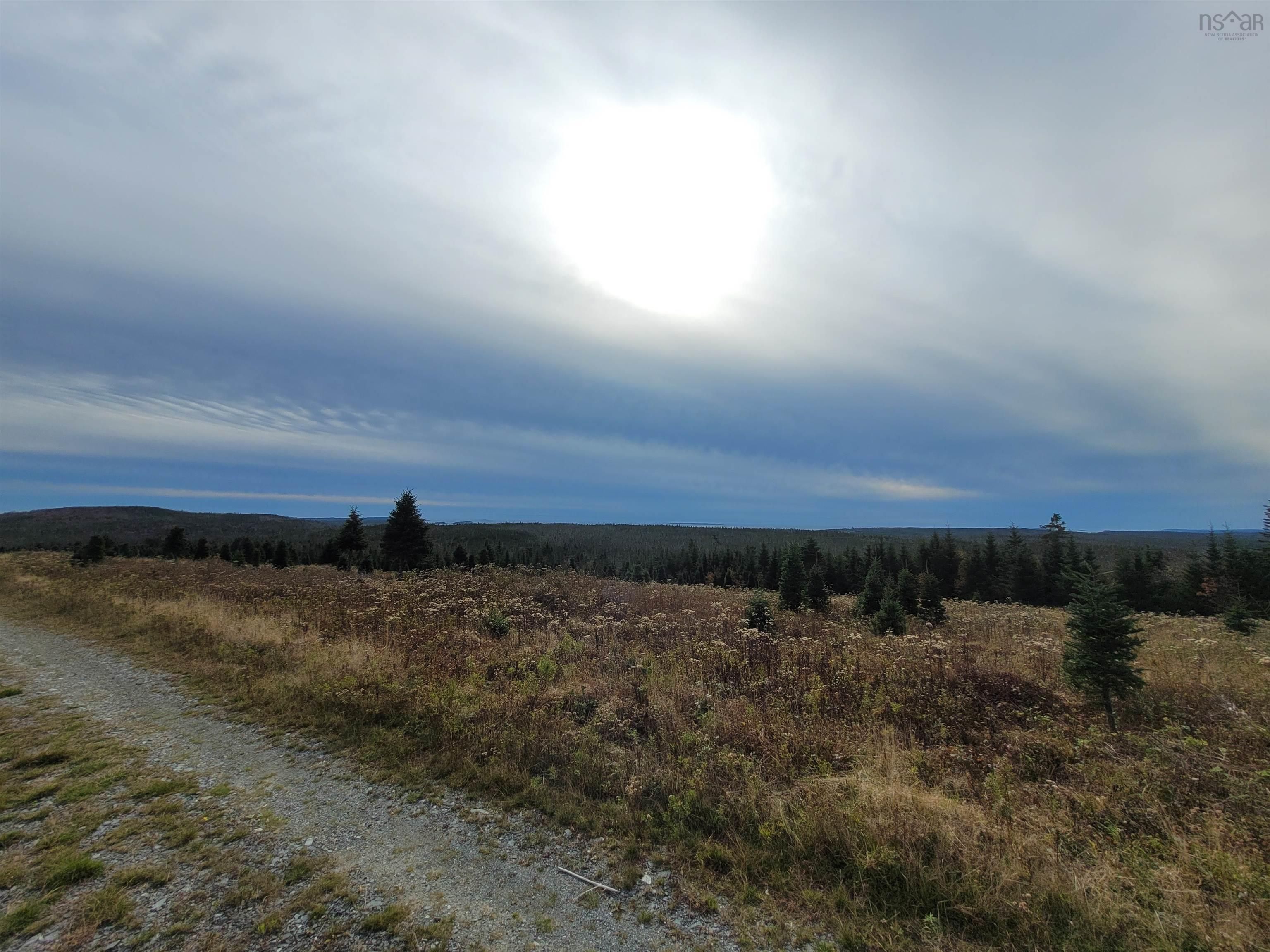 Main Photo: 3200 Clam Harbour Road in Clam Harbour: 35-Halifax County East Vacant Land for sale (Halifax-Dartmouth)  : MLS®# 202226870