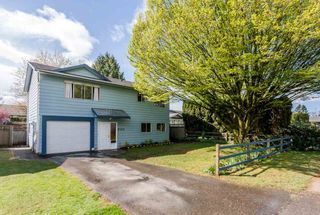 Photo 1: 20218 52 Avenue in Langley: Langley City House for sale : MLS®# R2053424