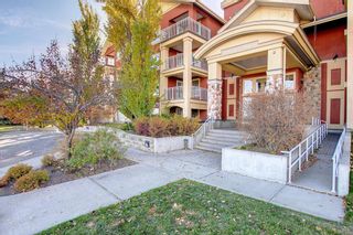 Photo 3: 317 5115 Richard Road SW in Calgary: Lincoln Park Apartment for sale : MLS®# A1179249