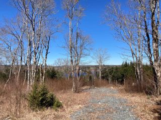 Photo 14: Lot 52 Riverside Drive in Goldenville: 303-Guysborough County Vacant Land for sale (Highland Region)  : MLS®# 202129137