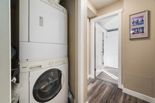 Photo 15: 2109 2600 66 Street NE in Calgary: Pineridge Apartment for sale : MLS®# A2033991