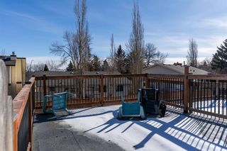 Photo 39: 40 Berwick Rise NW in Calgary: Beddington Heights Semi Detached (Half Duplex) for sale : MLS®# A2111616
