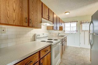 Photo 11: 147 Dovercliffe Way SE in Calgary: Dover Detached for sale : MLS®# A2085637
