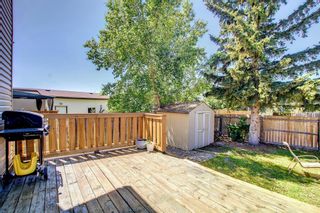 Photo 38: 59 Whitehaven Road in Calgary: Whitehorn Detached for sale : MLS®# A1241321
