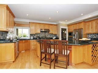 Photo 11: 2125 138A Street in Surrey: Elgin Chantrell House for sale (South Surrey White Rock)  : MLS®# F1320122