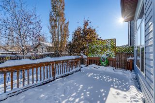 Photo 33: 151 Cranwell Green SE in Calgary: Cranston Detached for sale : MLS®# A2010647