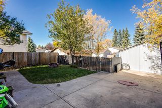 Photo 21: 3007 32A Avenue SE in Calgary: Dover Detached for sale : MLS®# A1159653