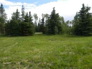 Photo 5: 120 Meadow Ponds Drive: Rural Clearwater County Land for sale : MLS®# A1021107