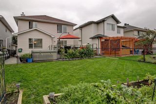 Photo 30: 100 Mt Selkirk Close SE in Calgary: McKenzie Lake Detached for sale : MLS®# A1063625