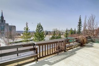 Photo 37: 78 Royal Elm Way NW in Calgary: Royal Oak Detached for sale : MLS®# A1208299
