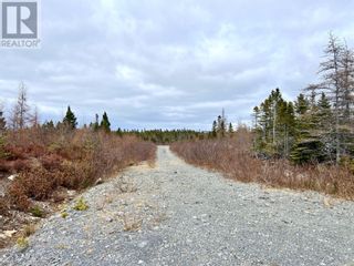 Photo 4: Lot 1 Reenies Way in Dildo: Vacant Land for sale : MLS®# 1269671