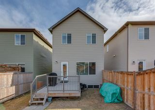 Photo 28: 222 Cranford Way SE in Calgary: Cranston Detached for sale : MLS®# A2045243