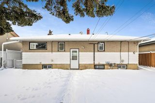 Photo 23: 2436 44 Street SE in Calgary: Forest Lawn Detached for sale : MLS®# A2022356