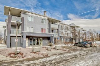 Photo 4: 2210 2280 68 Street NE in Calgary: Monterey Park Apartment for sale : MLS®# A2023196
