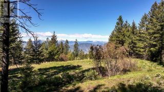 Photo 6: LOT 4 WHITETAIL Place in Osoyoos: Vacant Land for sale : MLS®# 198188