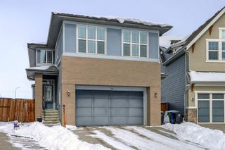 Photo 39: 51 Marquis Green SE in Calgary: Mahogany Detached for sale : MLS®# A2114028