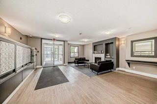 Photo 25: 3212 73 Erin Woods Court SE in Calgary: Erin Woods Apartment for sale : MLS®# A2143196