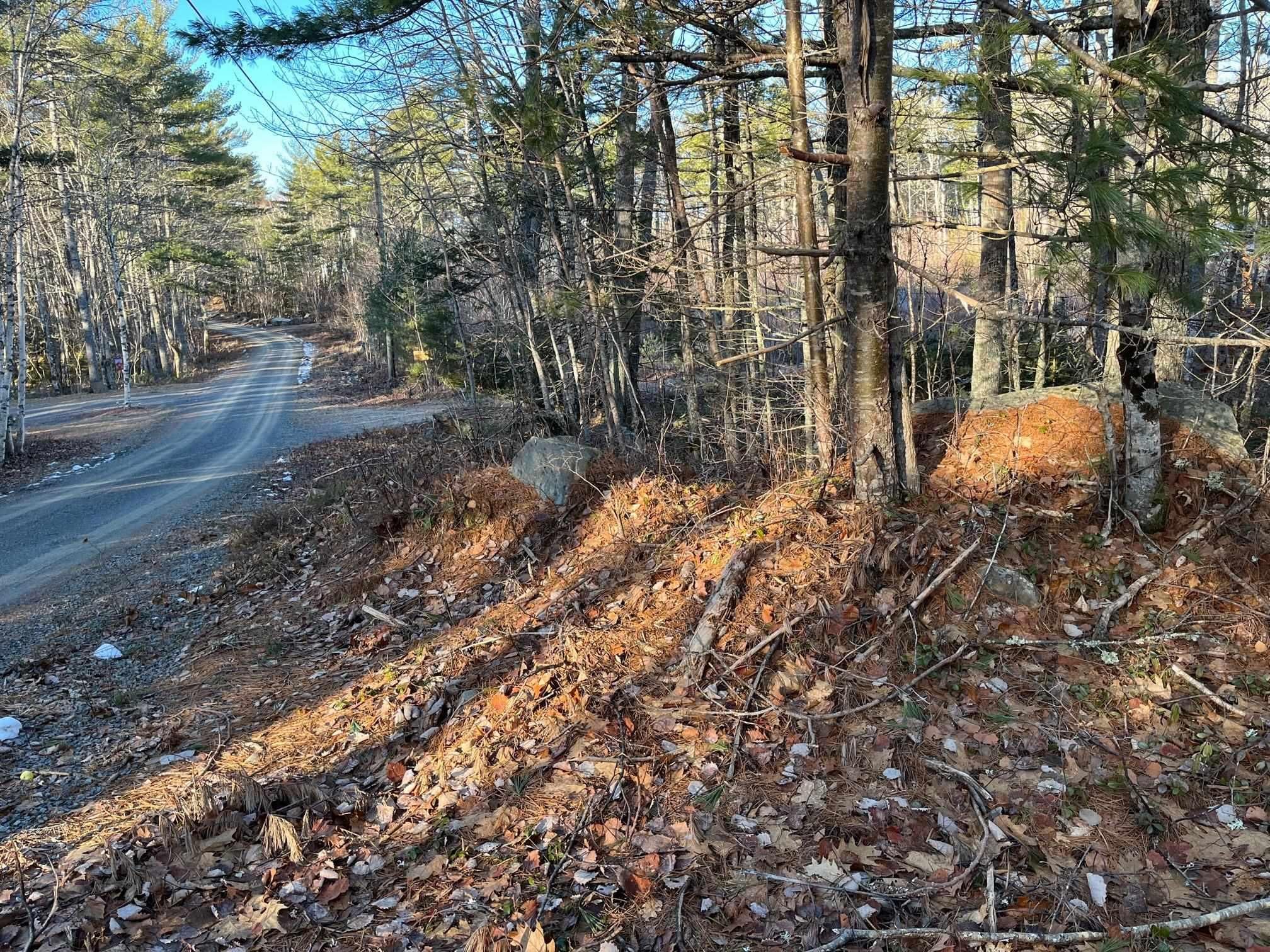 Main Photo: Lot 25 Pine Island Drive in Labelle: 406-Queens County Vacant Land for sale (South Shore)  : MLS®# 202302796