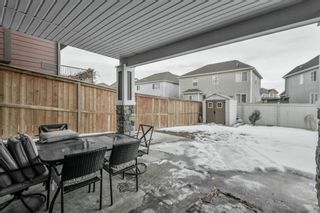 Photo 37: 654 Marina Drive: Chestermere Detached for sale : MLS®# A2118683