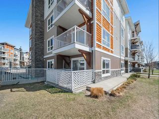 Photo 23: 3102 302 Skyview Ranch Drive NE in Calgary: Skyview Ranch Apartment for sale : MLS®# A2118945