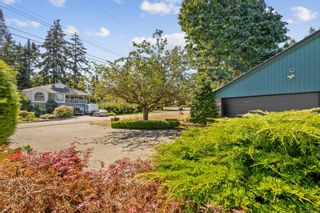 Photo 45: 3844 Laurel Dr in Royston: CV Courtenay South House for sale (Comox Valley)  : MLS®# 914098