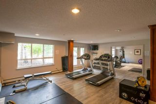 Photo 25: 231 35 Richard Court SW in Calgary: Lincoln Park Apartment for sale : MLS®# A1234077