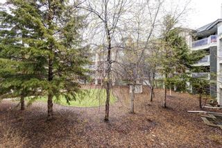 Photo 23: 236 35 Richard Court SW in Calgary: Lincoln Park Apartment for sale : MLS®# A2129106
