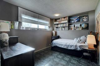 Photo 23: 5331 La Salle Crescent SW in Calgary: Lakeview Detached for sale : MLS®# A1214495
