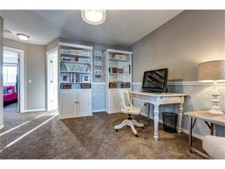 Photo 18: 41 ROYAL BIRCH Crescent NW in Calgary: Royal Oak House for sale : MLS®# C4041001