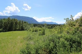 Photo 8: 37 2481 Squilax Anglemont Road in Lee Creek: North Shuswap Land Only for sale (Shuswap)  : MLS®# 10094382