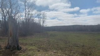 Photo 2: LOT Main Street in Lawrencetown: 400-Annapolis County Vacant Land for sale (Annapolis Valley)  : MLS®# 202106364