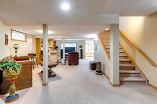 Photo 28: 231 Country Hills Close NW in Calgary: Country Hills Detached for sale : MLS®# A2003615